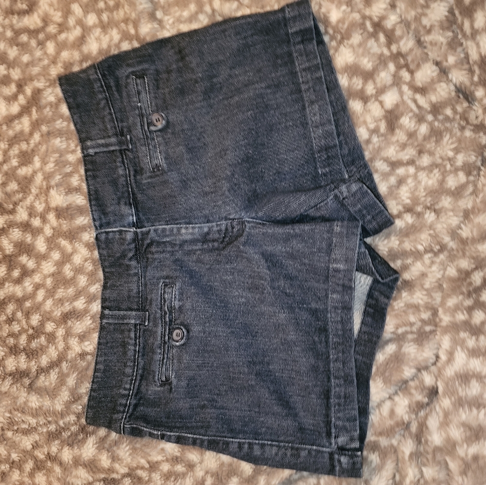 New York & company shorts